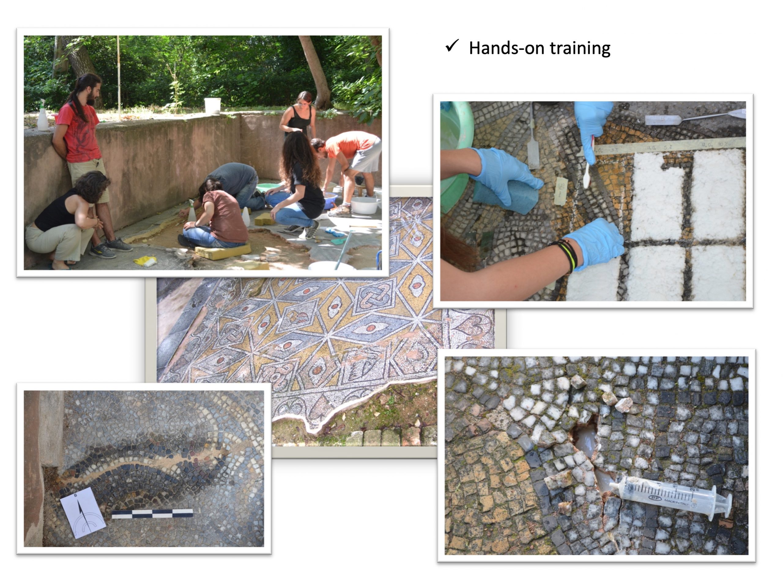Slide6 Hands-on training